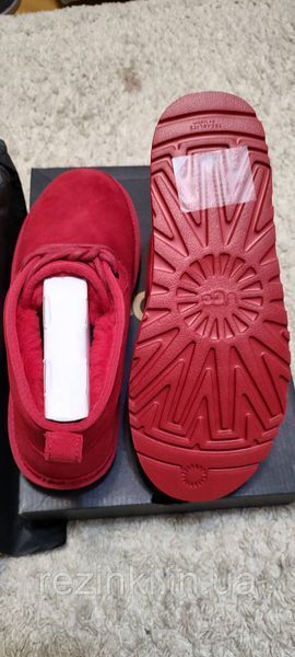 Мужские ботинки UGG Neumel оригинал 43, US10 - 28см 415 фото